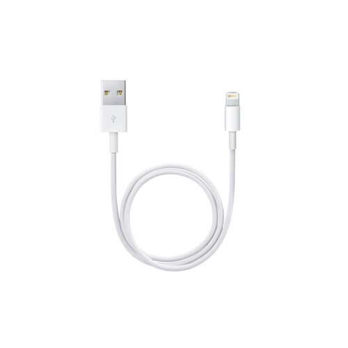 Apple Lightning to USB Cable (0.5 m)